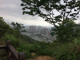 IMG_4534.JPG