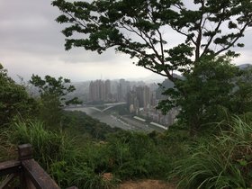 IMG_4536.JPG