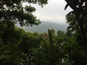 IMG_4642.JPG