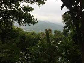 IMG_4643.JPG
