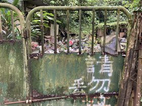 IMG_8517.JPG