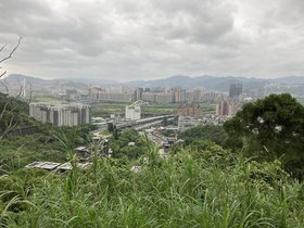 IMG_8528.JPG