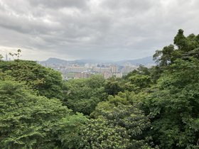 IMG_8621.JPG