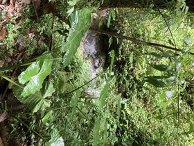 IMG_8629.JPG