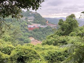 IMG_8687.JPG