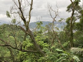 IMG_8707.JPG