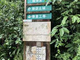 IMG_8710.JPG