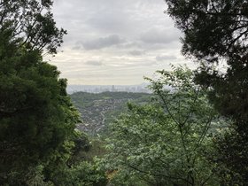 IMG_8724.JPG