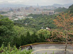 IMG_8733.JPG