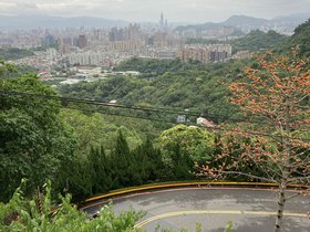 IMG_8734.JPG