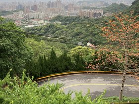 IMG_8738.JPG