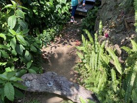 IMG_7788.JPG