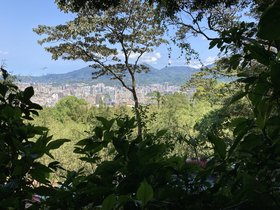 IMG_7953.JPG