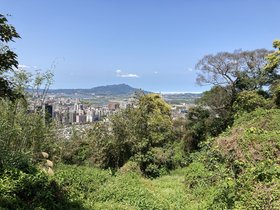 IMG_7955.JPG