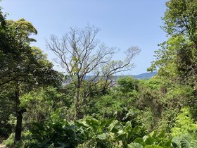 IMG_8064.JPG