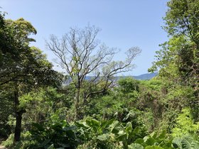 IMG_8065.JPG