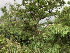 IMG_0633.JPG