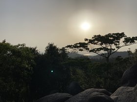 IMG_4378.JPG