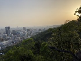 IMG_4382.JPG
