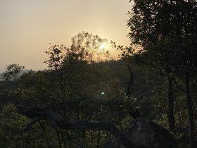 IMG_4385.JPG