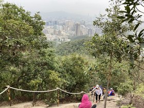 IMG_6580.JPG