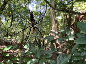 IMG_5963.JPG