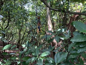 IMG_5970.JPG