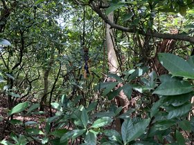 IMG_5971.JPG
