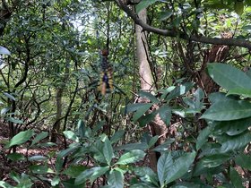 IMG_5972.JPG