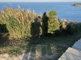 IMG_0135.jpg