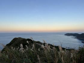 IMG_0325.jpg