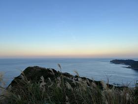 IMG_0327.jpg