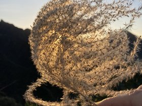 IMG_9492.JPG