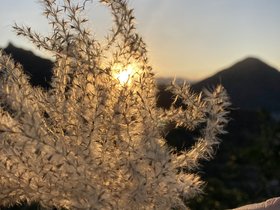 IMG_9493.JPG