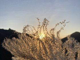 IMG_9494.JPG