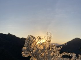 IMG_9495.JPG
