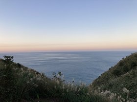 IMG_9500.JPG