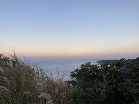 IMG_9501.JPG