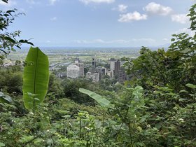 IMG_7142.JPG