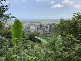 IMG_7143.JPG