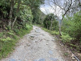 IMG_7225.JPG