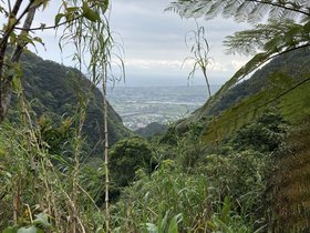IMG_7408.JPG