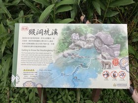IMG_7410.JPG