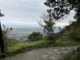 IMG_7417.JPG
