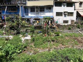 IMG_8650.JPG