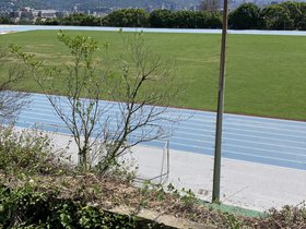 IMG_3133.JPG