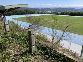 IMG_3134.JPG