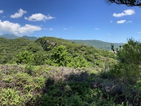 IMG_3293.JPG