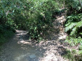 IMG_3333.JPG