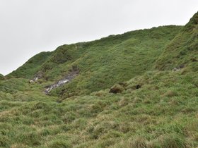 DSC_5534.JPG